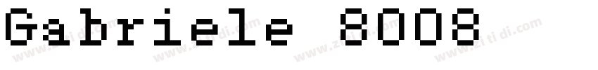 Gabriele 8008   Type字体转换
